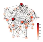 Coarse targeting in social networks